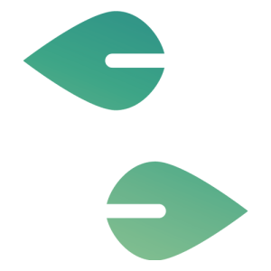 spin-off-re-ius-icon